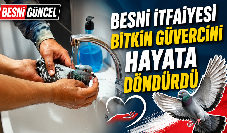 Susuzluktan Bitkin Düşen Güvercine İtfaiye Can Suyu Oldu