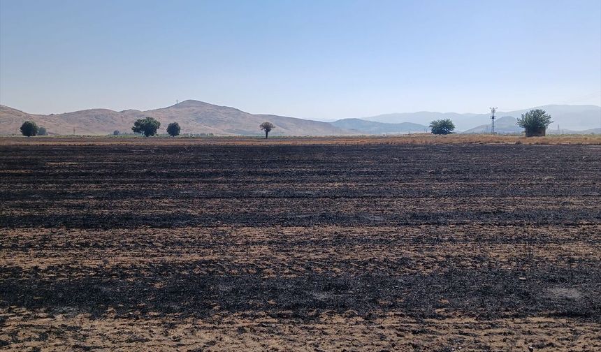 İslahiye'de çıkan anız yangınında 400 dönüm arazi küle döndü
