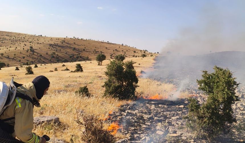 Mazıdağı'ndaki Örtü ve Anız Yangını Kontrol Altına Alındı