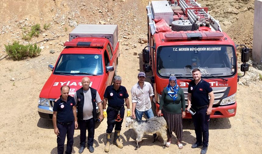 İtfaiye Ekipleri, Kayalıklara Sıkışan Keçiyi Kurtardı