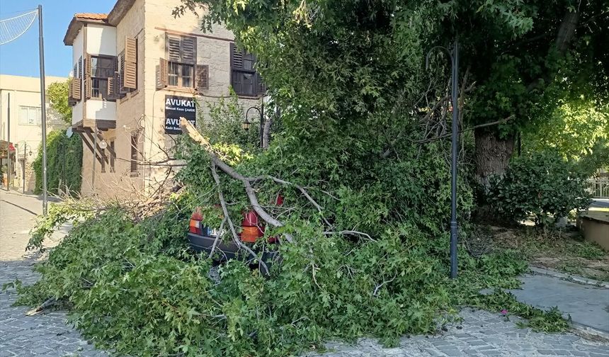 Silifke'de kuvvetli rüzgar ağaçları devirdi, araçlara hasar