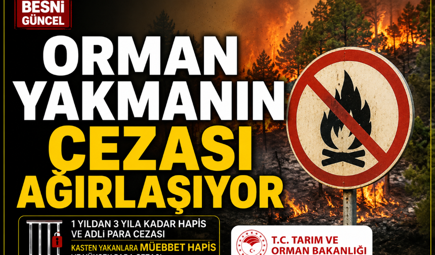Orman Yakmanın Cezası Ağırlaşıyor