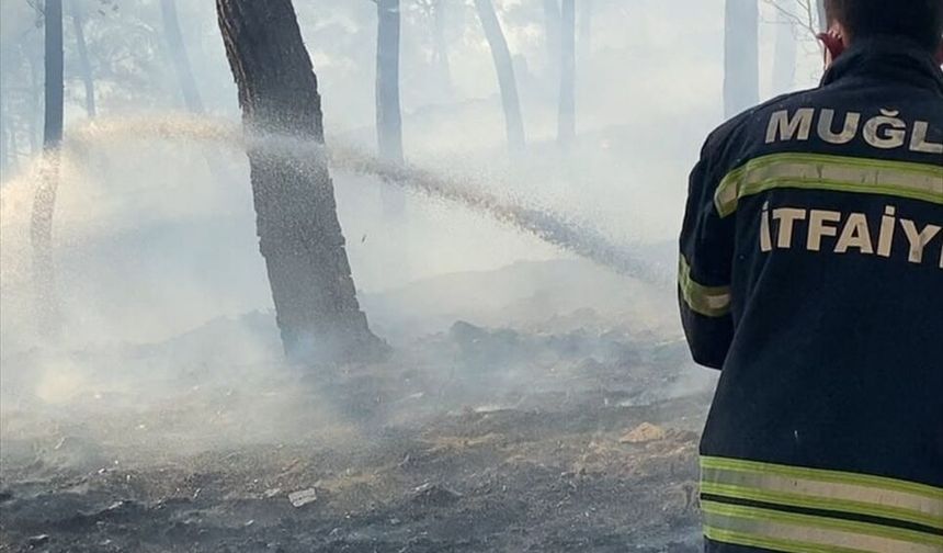 Muğla Ortaca'daki Orman Yangınına Müdahale Sürüyor