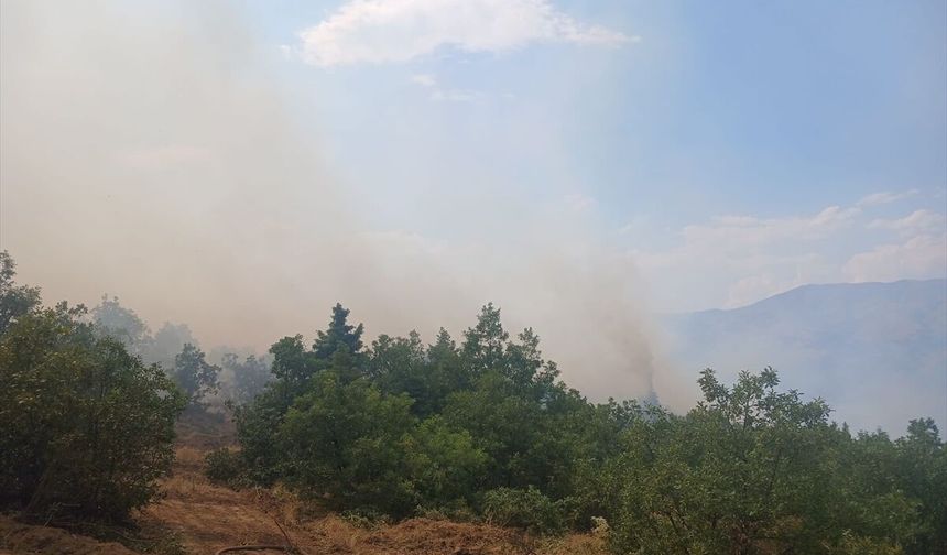 Pütürge alevlere teslim: Ekipler yangınla mücadele ediyor