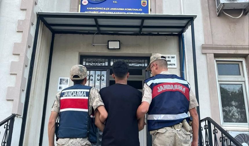 Jandarma, Şanlıurfa'da hırsızlık hükümlüsüne operasyon düzenledi.