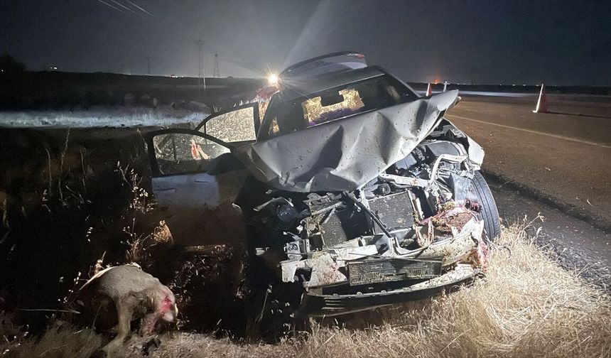 Siverek'te Otomobil Koyun Sürüsüne Çarptı: Yaralılar Var