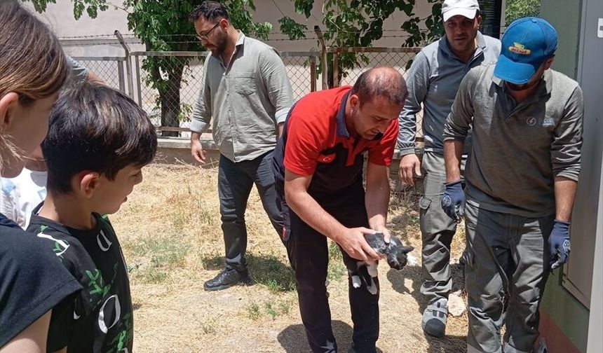 Kurtulan'da Beton Tuzağından Kurtarılan Kedi Özgürlüğüne Kavuştu