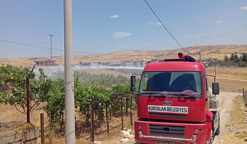 Siirt'te fıstık bahçesi ve ev yangınları söndürüldü