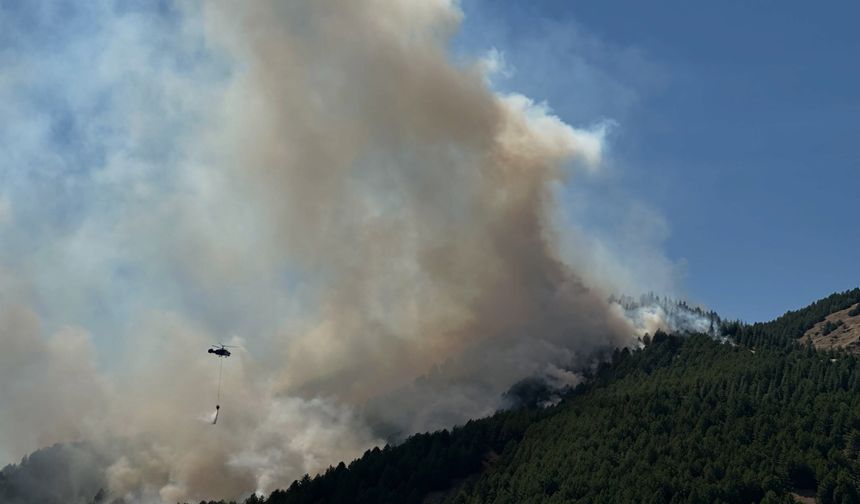 Sincik'teki Orman Yangını Rüzgarla Yayılıyor