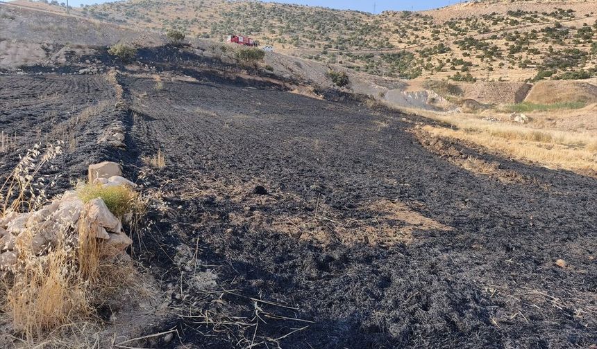 Cizre'deki Anız Yangını Söndürüldü, Bir Kişi Yaralandı