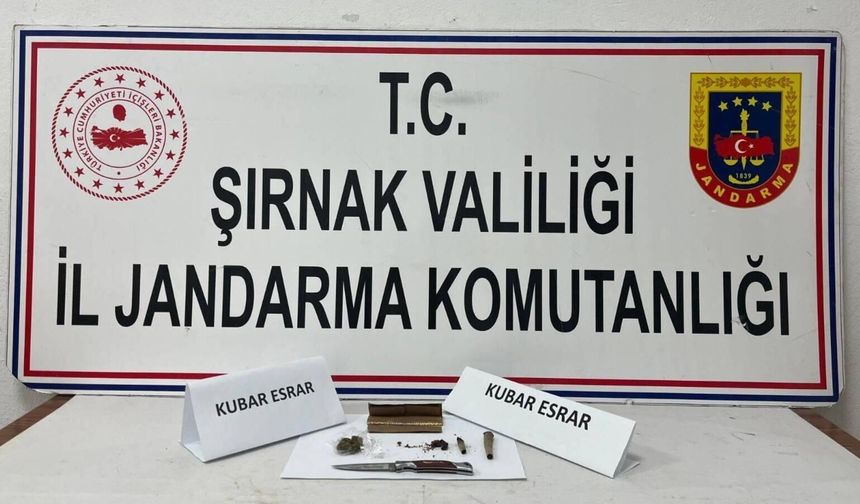 Şırnak'ta Operasyonda 47 Şüpheliye Adli İşlem