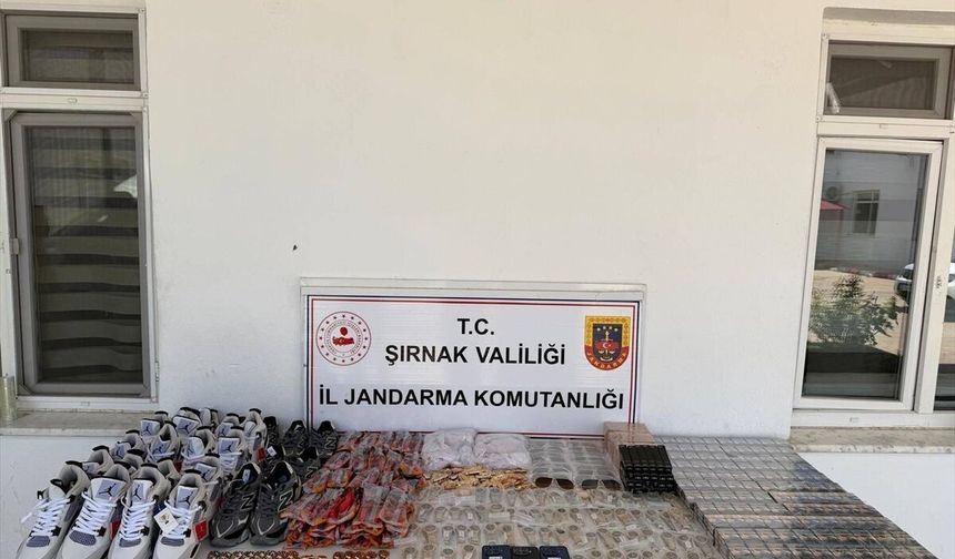Şırnak'ta geniş çaplı operasyonlarda 73 şüpheliye adli işlem uygulandı