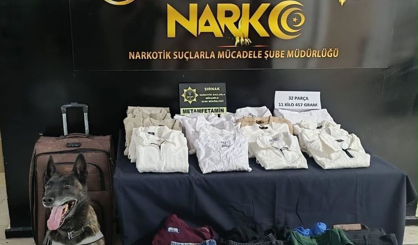 Habur'da Narkotik Köpeği 'Aspar' Uyusturucuyu Buldu