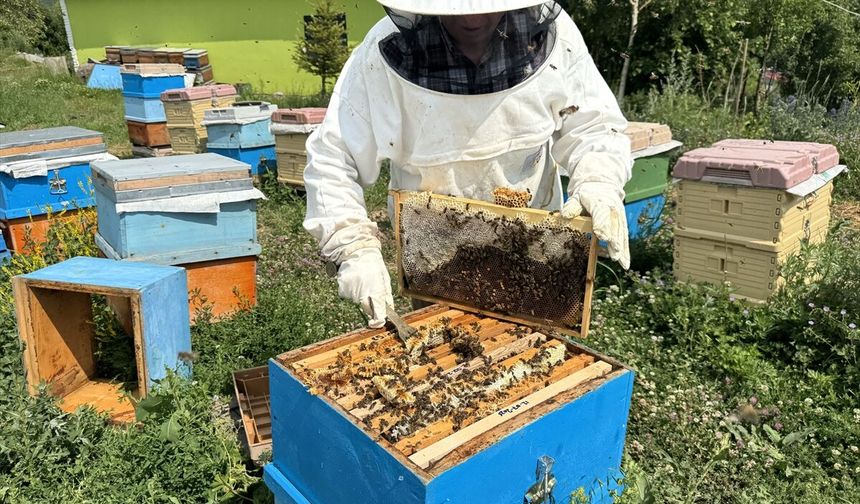 Ardahan'da bal sezonu için hazırlıklar tamamlandı