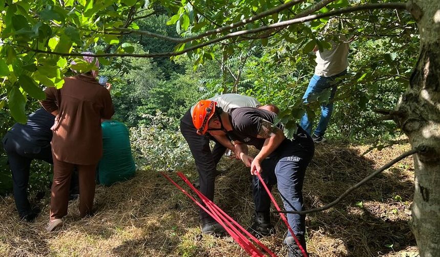 Trabzon'da yamaçtan yuvarlanan inek kurtarıldı.