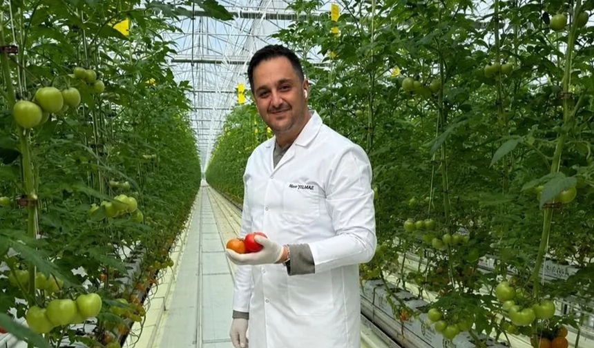 Domates İhracatı Yılın İlk Yarısında Rekor Kırdı
