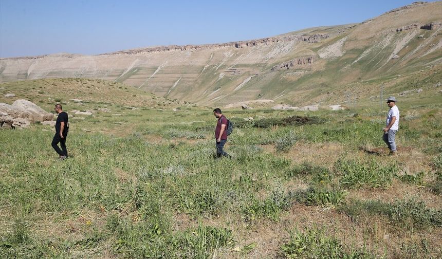 Siirt'te Pervari Balının Polen Haritası Çıkarılıyor