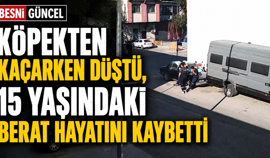 Ankara'da Köpek Paniğiyle Düşen Genç Hayatını Kaybetti