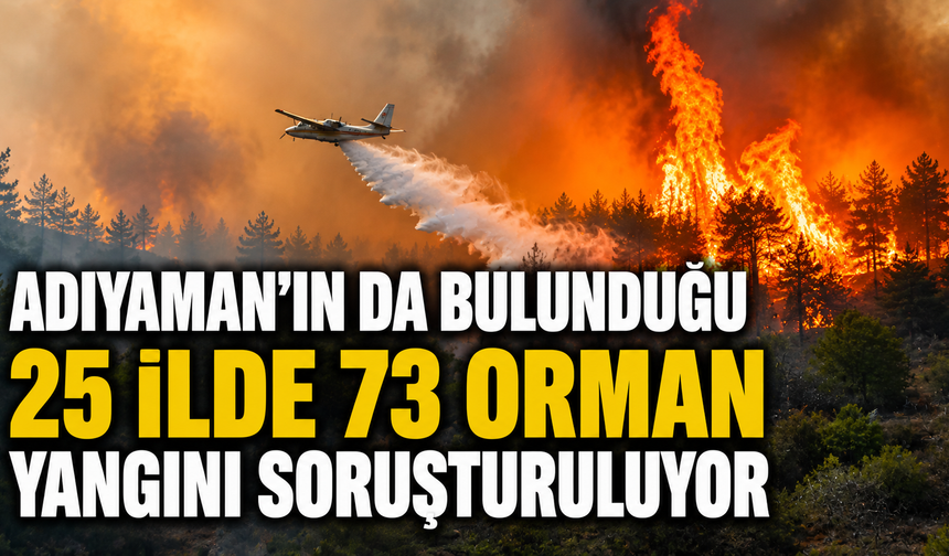 Orman yangınlarında 46 şüpheli tespit edildi, 12 kişi tutuklandı