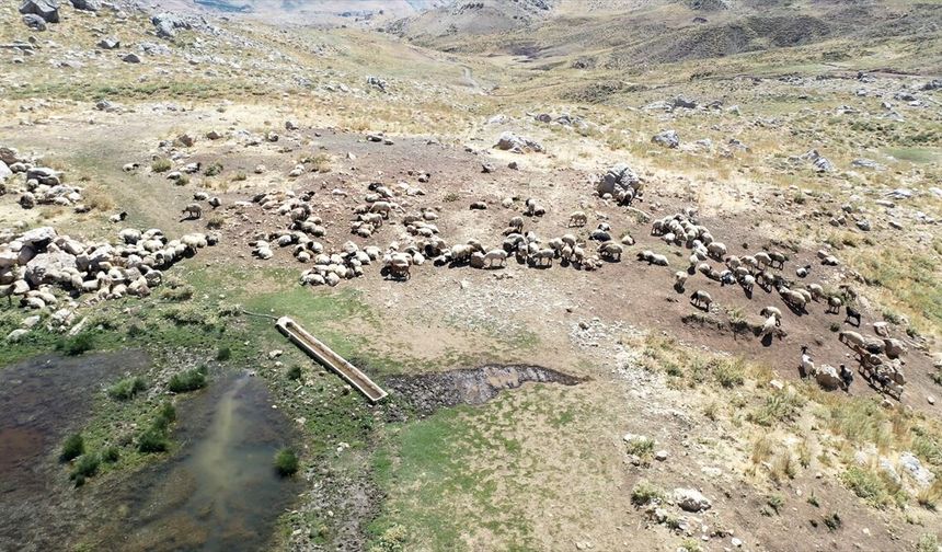 Adıyaman'da göçerler, yüksek yaylada üretimi sürdürüyor