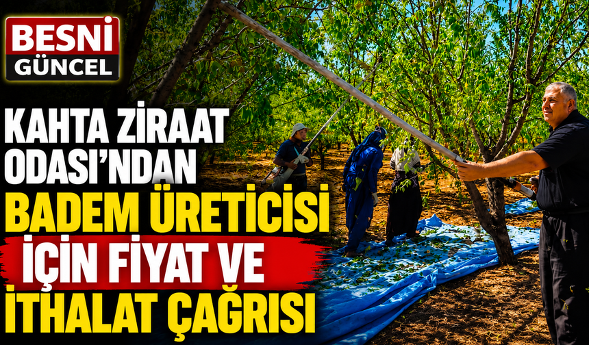 Turanlı'dan badem üreticisi için fiyat ve ithalat çağrısı