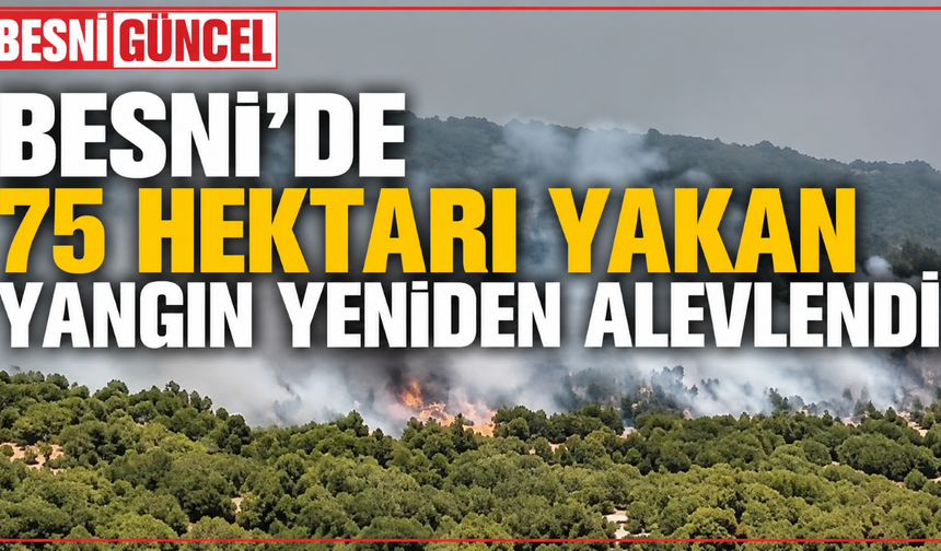 Besni'de 75 Hektarı Yakan Yangın Yeniden Alevlendi