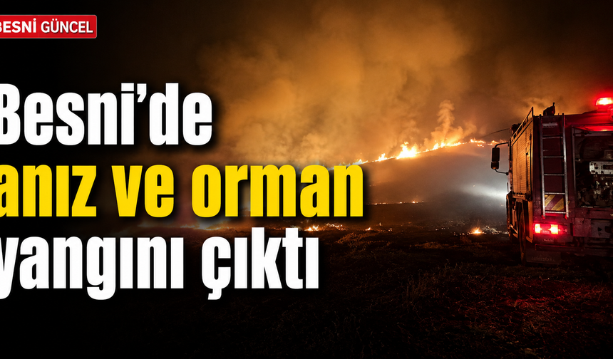 Besni’de anız yangını ormanlık alana yayıldı
