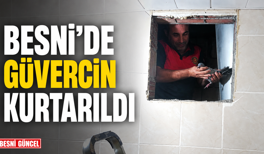 Besni’de Havalandırma Boşluğuna Düşen Güvercin Kurtarıldı
