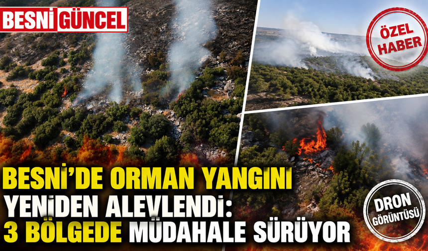 Besni’de Yangın Yeniden Başladı: 100 Dönüm Meşe Alanı Zarar Gördü