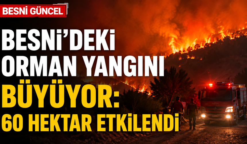Besni'de Gece Başlayan Yangın Yeniden Alevlendi