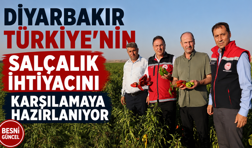 Mezopotamya Ovası’ndan Türkiye’ye Salçalık Sebze Tedariki