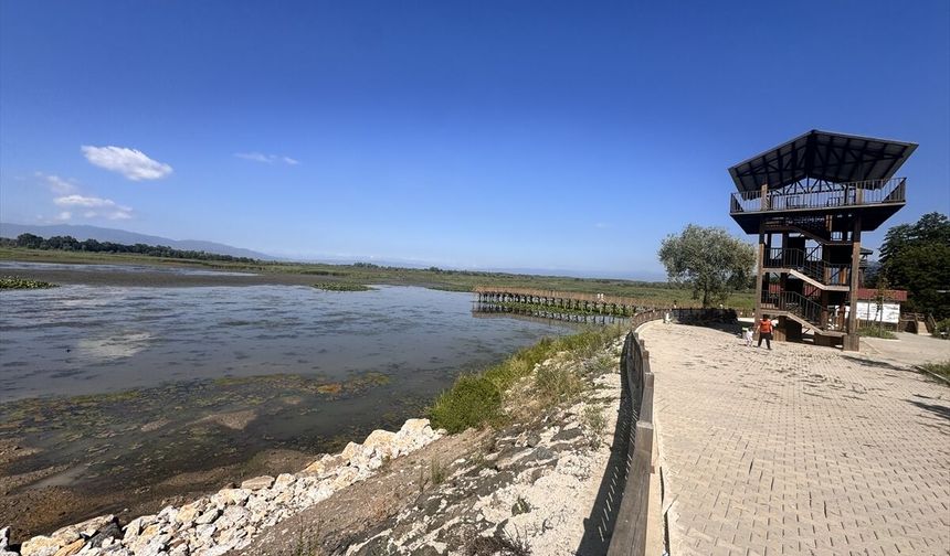 Düzce Efteni Gölü Doğa Severlerle Doldu Taştı