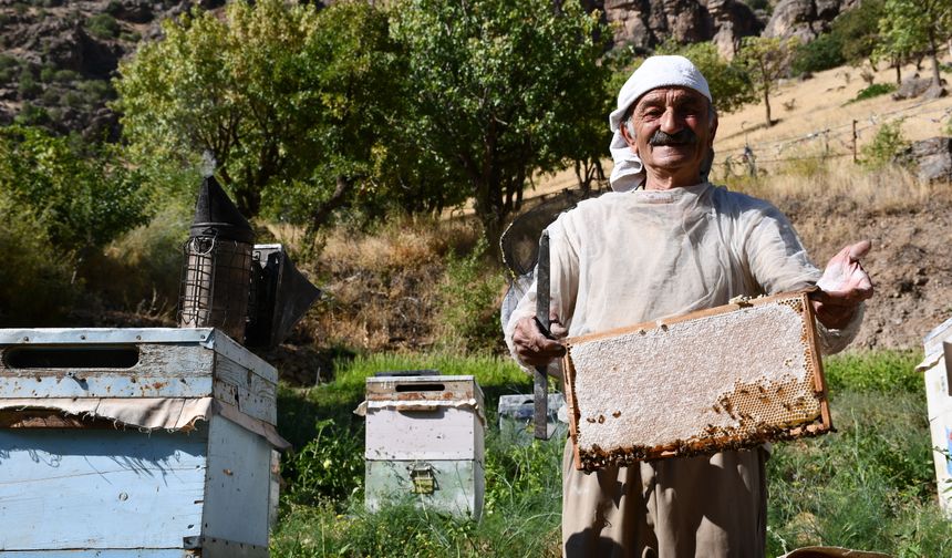 51 yıldır arıcılık yaparak 6 çocuğunu okuttu.