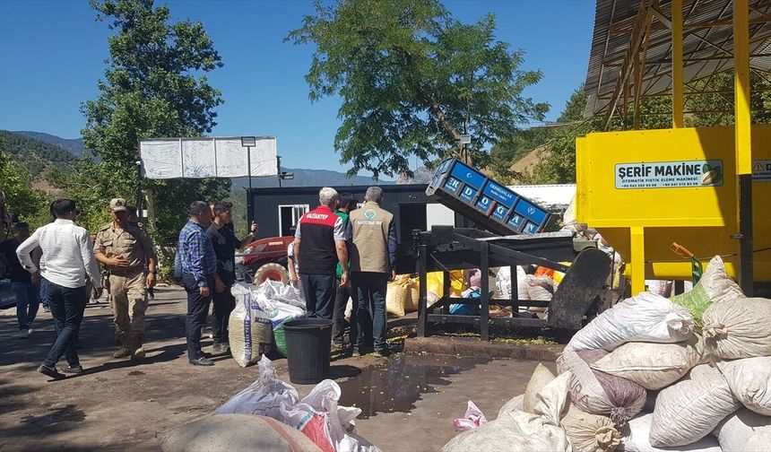 İslahiye'ye Fıstık İşleme Tesisi Kuruldu ve Çalışmaya
