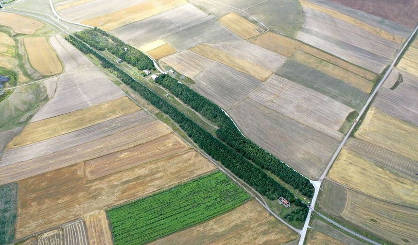 57 Yıllık Tren İstasyonu Kars'ta Vaha Oldu