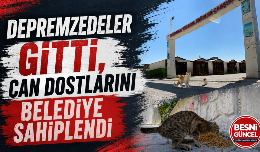 Depremzedeler Gitti, Can Dostlarını Belediye Sahiplendi