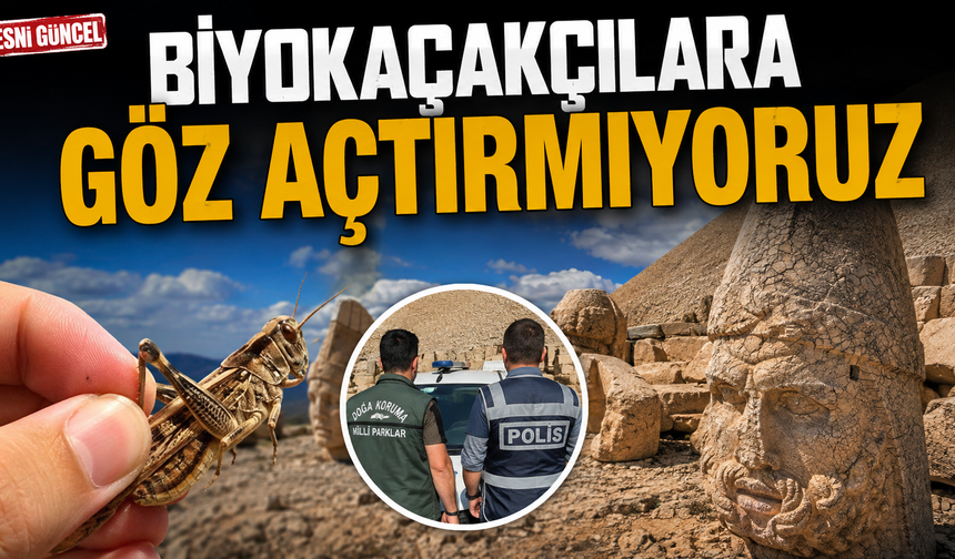 Nemrut Dağı’nda biyokaçakçılara 1,4 milyon TL ceza