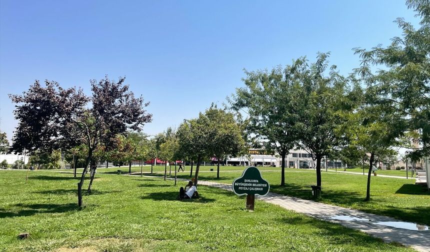 46 Dereceyi Gören Şanlıurfa'da Yaşam Mücadelesi