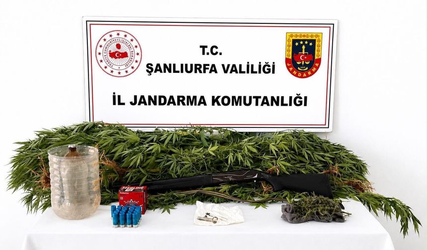 Şanlıurfa'daki Operasyonlarda Yasa Dışı Maddeye El Konuldu