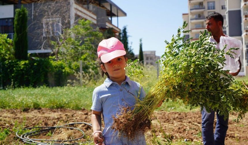 Adıyaman Belediyesi’nden Sofralara Uygun Fiyatlı Üretim