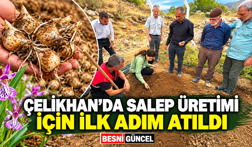 Çelikhan’da 10 üretici salep üretimine başladı