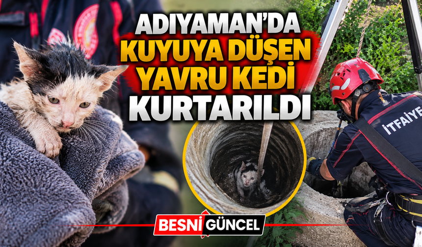 İtfaiye Ekipleri Yavru Kedi İçin Seferber Oldu