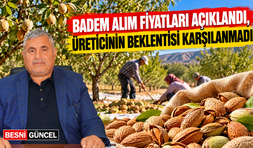 Badem Fiyatları Açıklandı, Üretici Yeniden Düzenleme İstedi
