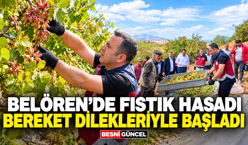 Belören’de fıstık hasadı bereket dilekleriyle başladı