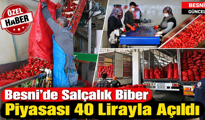 Besni’de Ev Salçası Sezonu Biberle Açıldı