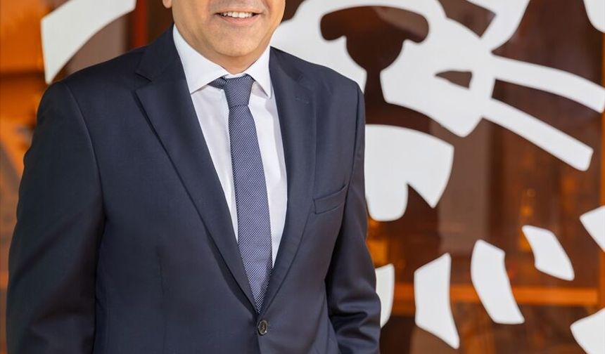 Gökçe Çakıt, ING Türkiye'de üst düzey göreve atandı