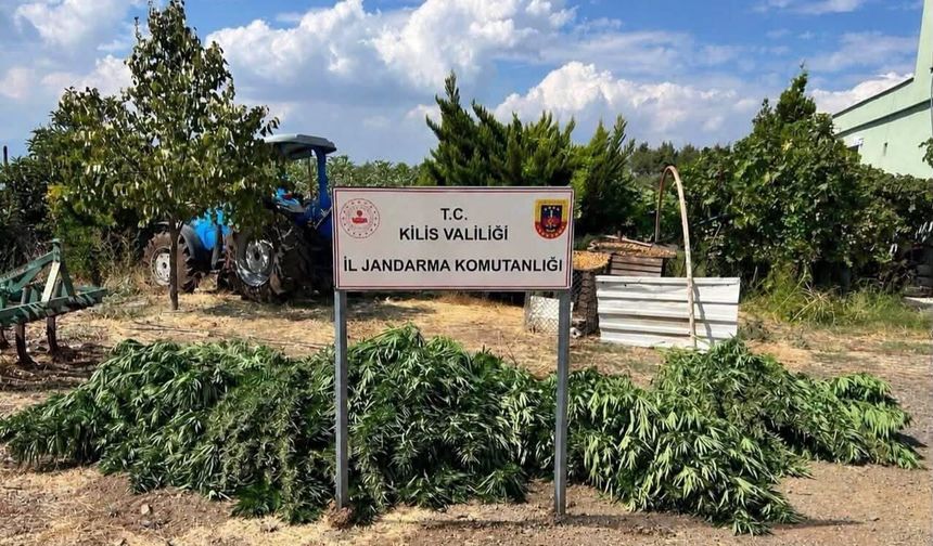 Kilis'te Madde Operasyonunda Gözaltı
