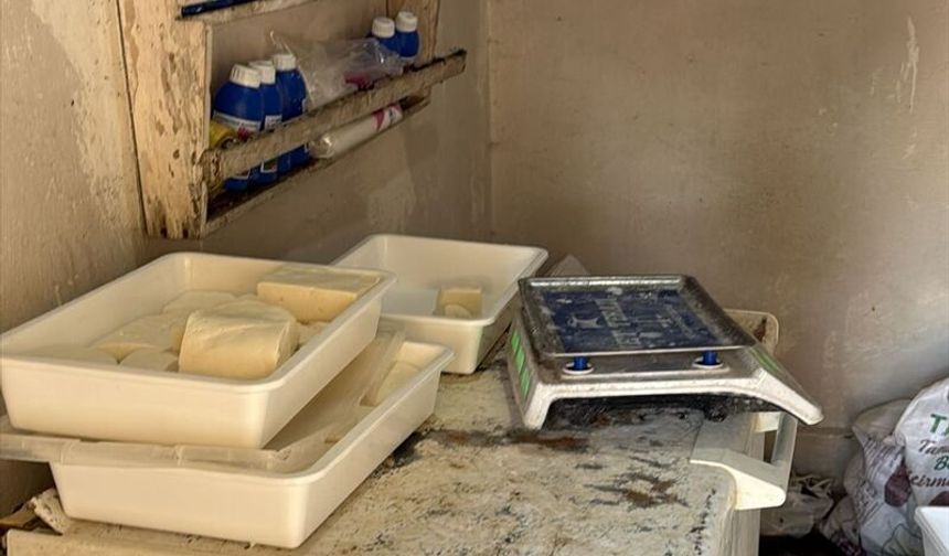 Kilis'teki Peynir İmalathanesine Hijyen Kapatması