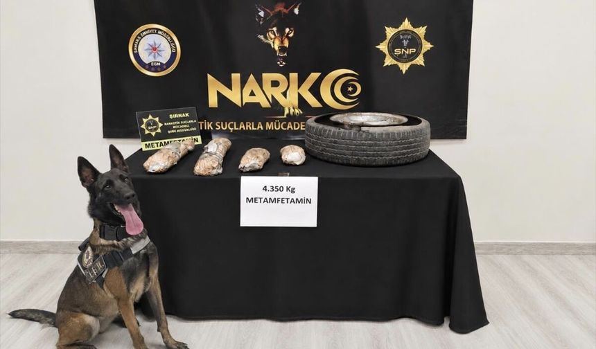 Cizre'de Narkotik Köpeğiyle Büyük Yasa dışı madde Operasyonu