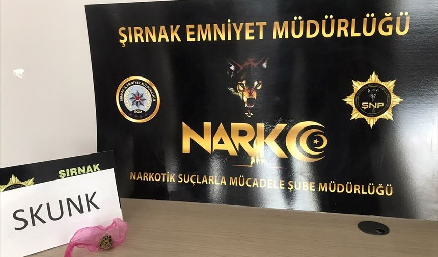 Şırnak'taki operasyonlarda 36 şüpheliye yasal işlem